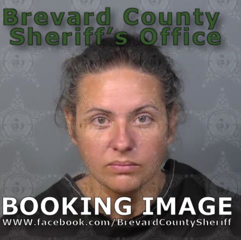 Mugshot of Terra Lynn Monnett