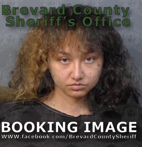 Mugshot of Marianne Thanh Vo