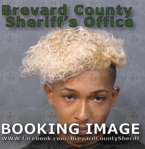 Mugshot of Jerome M Lehman