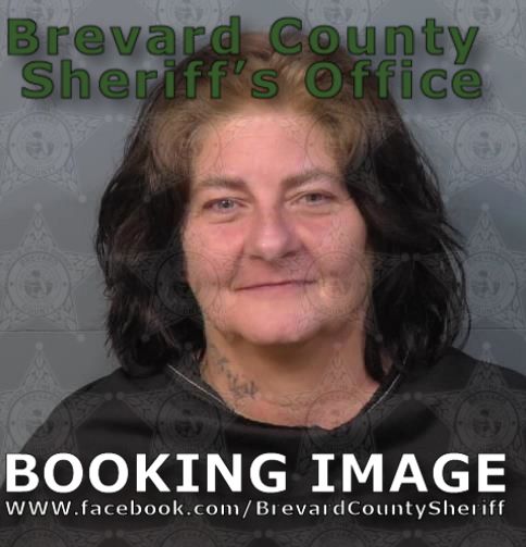 Mugshot of Lisa Ann Wells