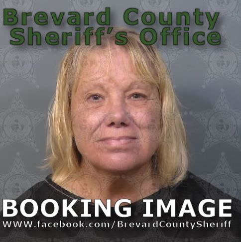Mugshot of Lynn Ann Docherty