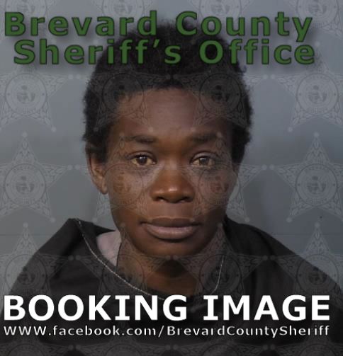 Mugshot of Idreka Shataivia Johnson