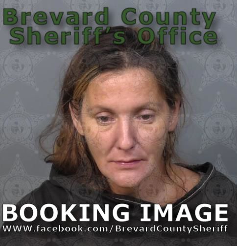 Mugshot of Theresa Dawn Conklin