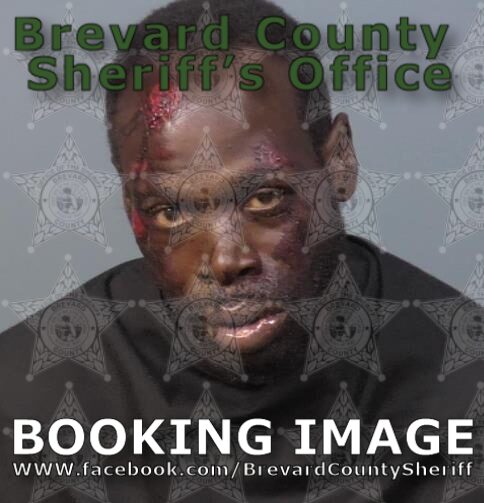 Mugshot of Wayne Carlton Brown