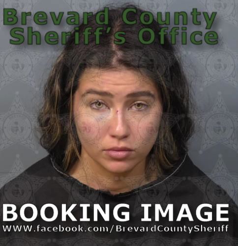 Mugshot of Samantha Briana Barnett