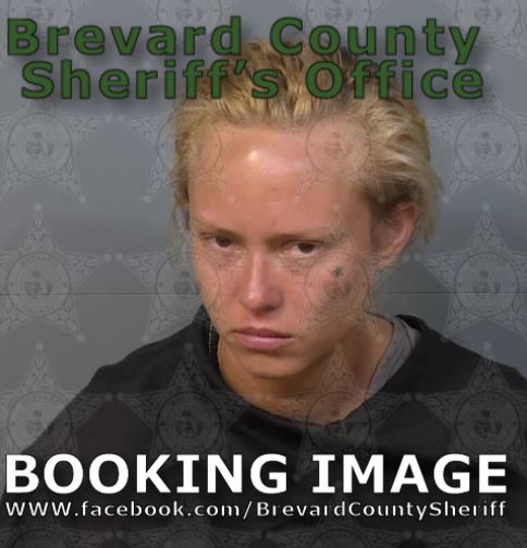 Mugshot of Hope Rene Pennington