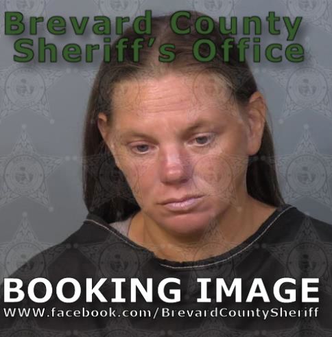 Mugshot of Stephanie B Elcholi