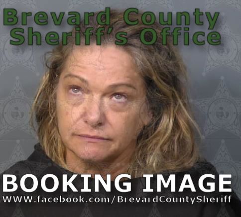 Mugshot of Donna Mason