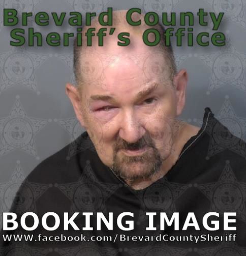 Mugshot of Ronald Ingrassia
