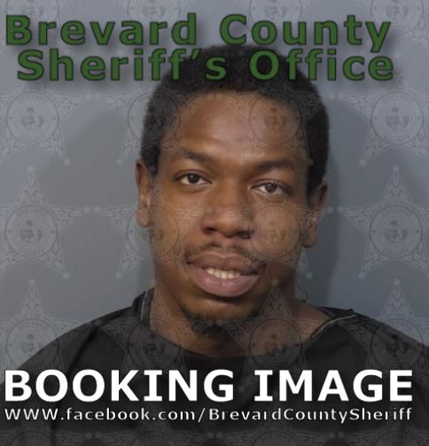 Mugshot of Logan K Bronzell