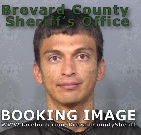 Mugshot of Ronald Perez Navarijo