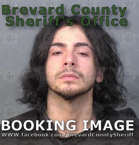 Mugshot of Dakota Swan