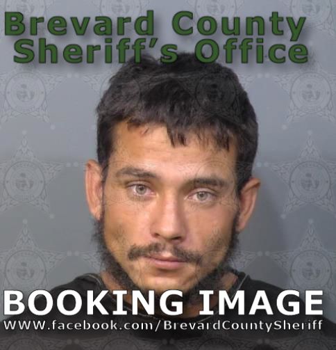 Mugshot of Johann Human