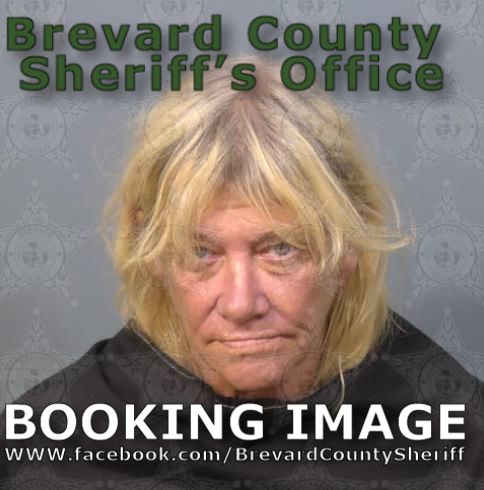 Mugshot of Traci Outlaw