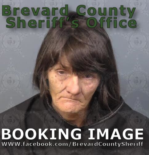 Mugshot of Ann Collett