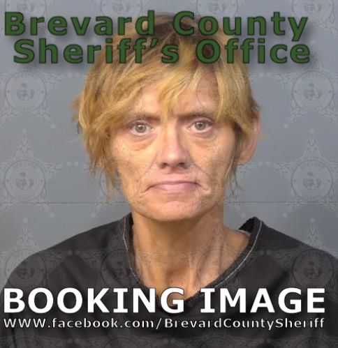 Mugshot of Carrie Lynn Flanary