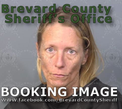 Mugshot of Megan Adele Lowell
