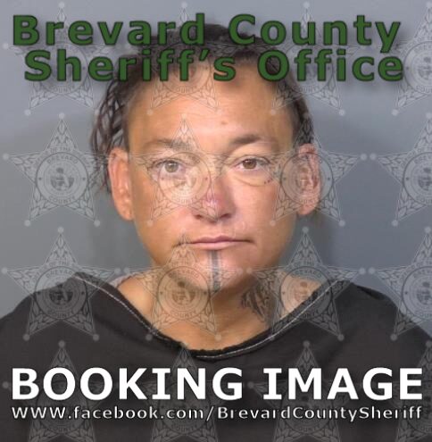 Mugshot of Cassy Diane Gould