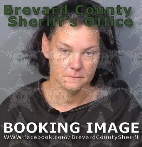 Mugshot of Brandy Lee Bradley