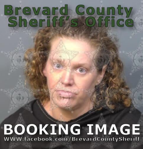 Mugshot of Tonya Lynn Chesley
