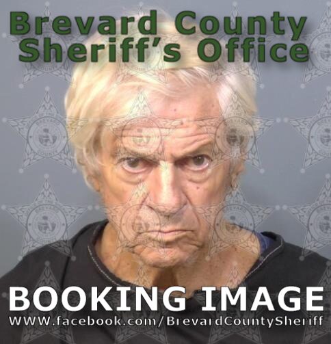 Mugshot of Robert Patterson Hays
