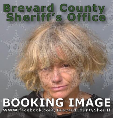 Mugshot of Arminda Evelyn Bryan