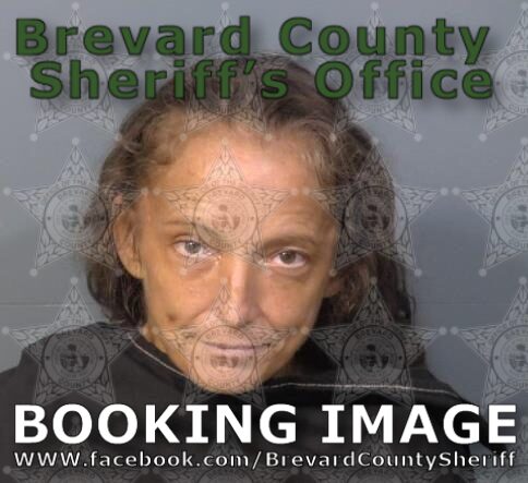 Mugshot of Misty Dawn Langley