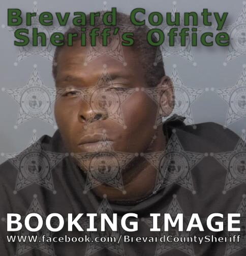 Mugshot of James Earl Goodwine