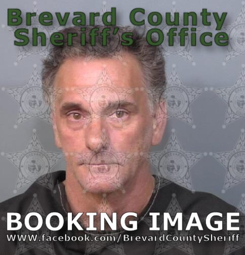Mugshot of Troy Donald Depalmenary