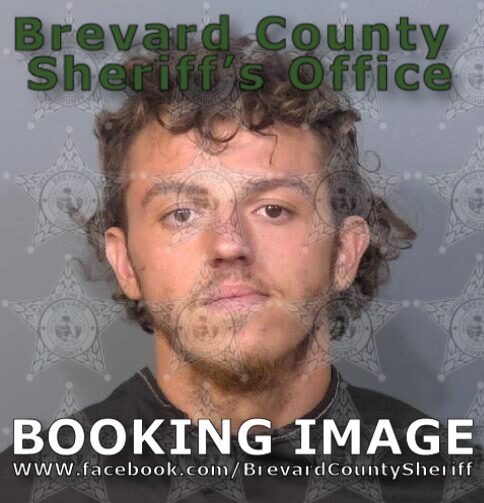 Mugshot of Raymond Vincent Britton