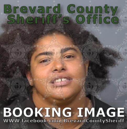 Mugshot of Diane Mae Tomlin