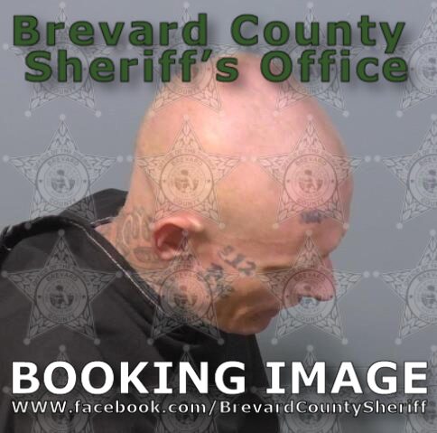 Mugshot of Michael Jay Lovier