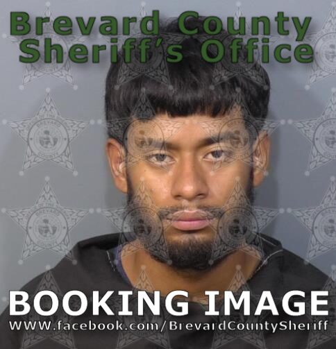 Mugshot of Alfredo Ernesto Hernandez