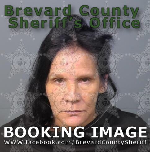 Mugshot of Virginia Mae Sager