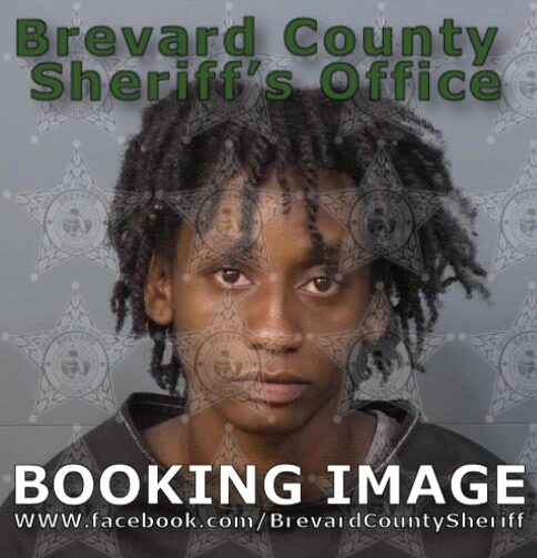 Mugshot of Shayla Ashanti Wilson