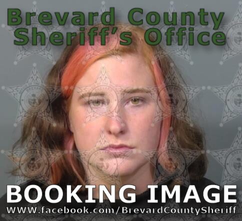 Mugshot of Haley Lynn Counts