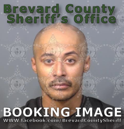 Mugshot of Jonathan Shane Lee