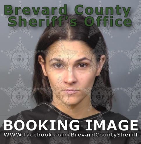 Mugshot of Payton Alexis Mcdonald