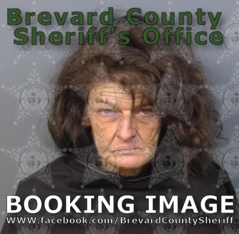 Mugshot of Amanda Ann Lloyd