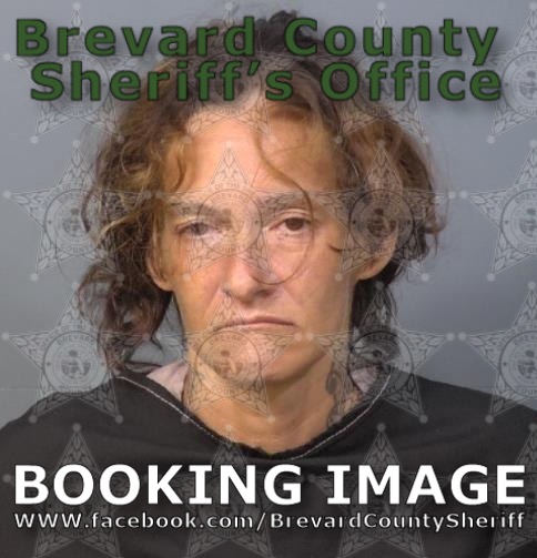 Mugshot of Dawn Alisa Padilla