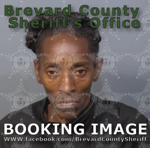 Mugshot of Sonja Renee Bryant