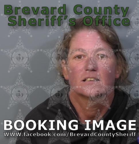 Mugshot of Talena Ann Skaggs