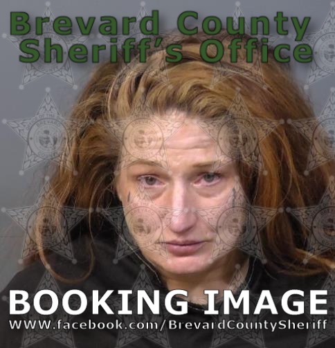 Mugshot of Kimberly Carol Clyburn