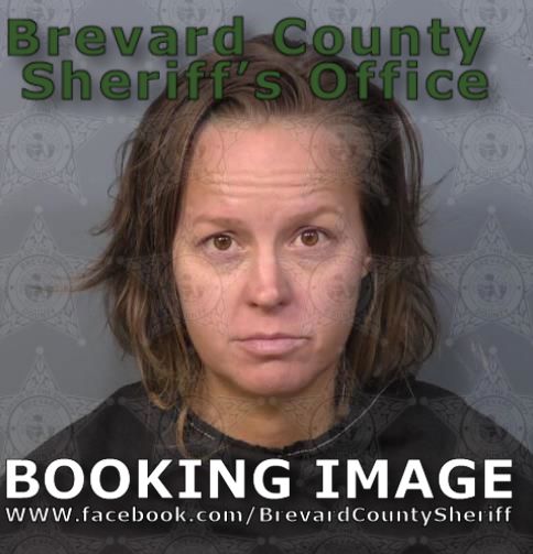 Mugshot of Tonya Suzanne Taylor