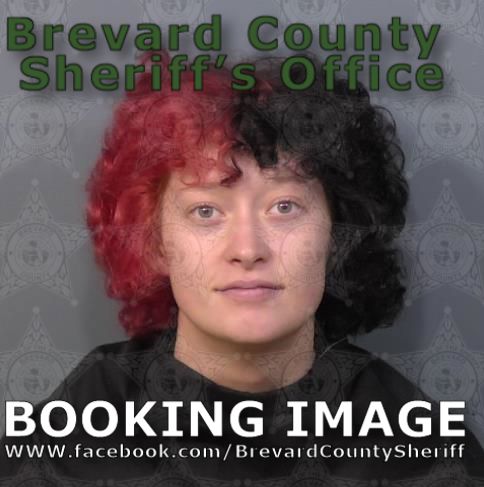 Mugshot of Raina Jade Swendsen