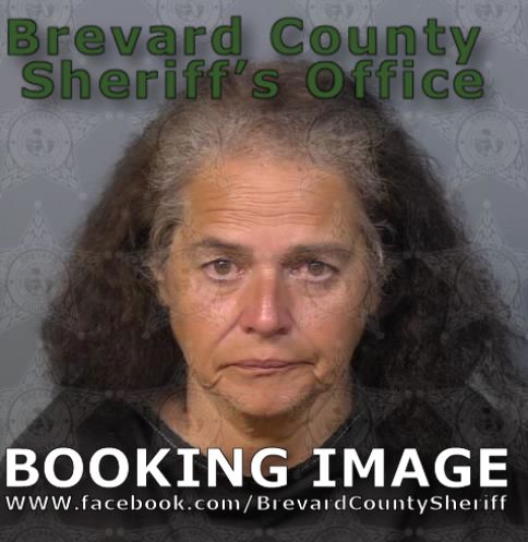 Mugshot of  Mary Fernandez