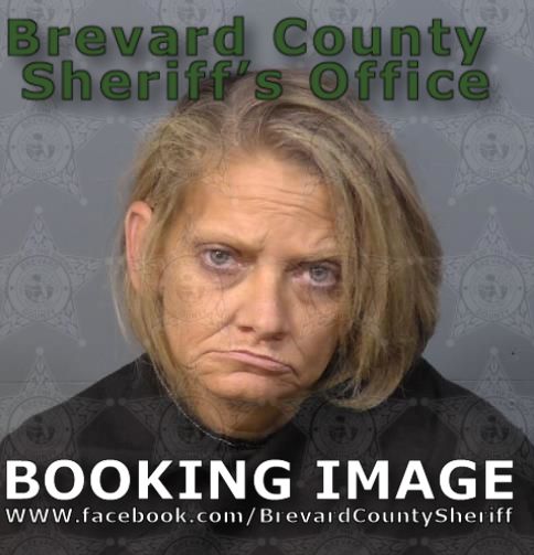 Mugshot of  Brandi Lema