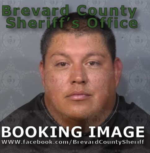 Mugshot of  Miguel Olalde Martinez