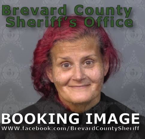 Mugshot of  Yahaira Roman